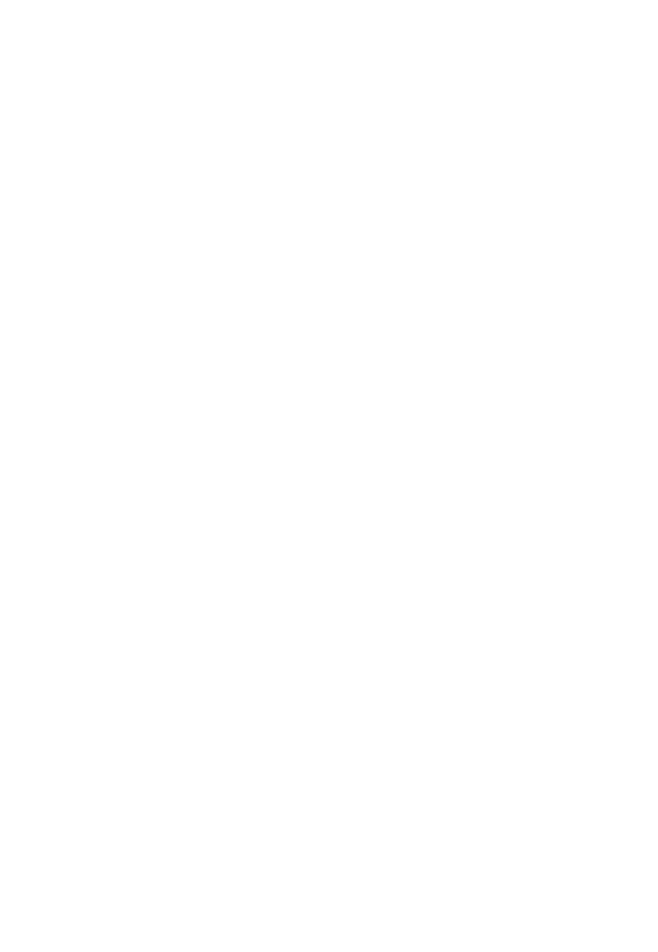 SLASH IRON